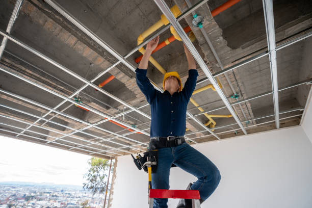 Best Plumbing Inspection Services  in West Pelzer, SC